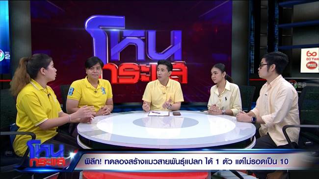 คาเฟ่นรก คาเฟ่นรก