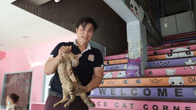 ช่วยเหลือแมว ช่วยเหลือแมว
