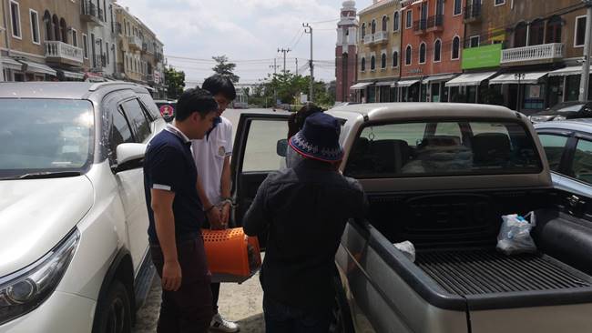 ช่วยเหลือแมว ช่วยเหลือแมว