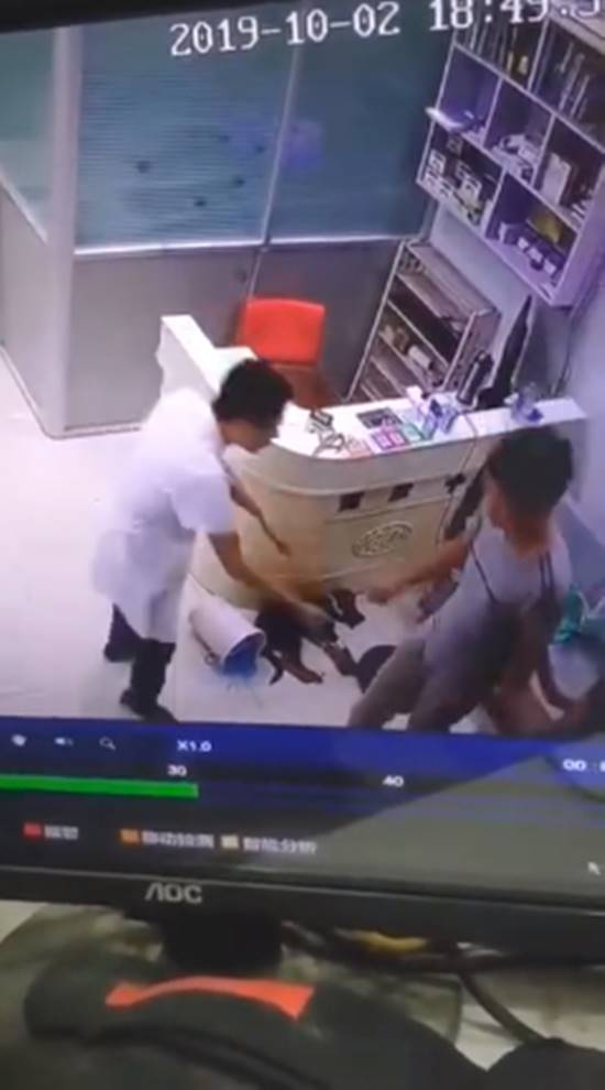 ทำร้ายหมา ทำร้ายหมา