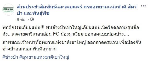 ช้างป่าเขาใหญ่ ช้างป่าเขาใหญ่