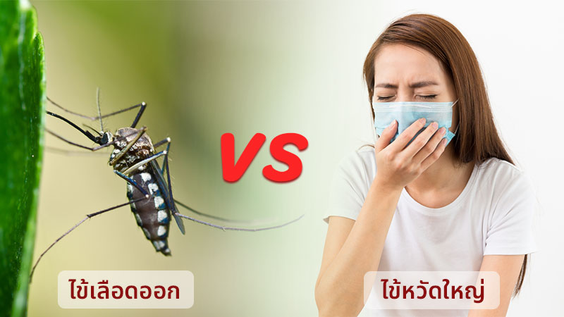 ไข้เลือดออก ไข้หวัดใหญ่ ไข้เลือดออก ไข้หวัดใหญ่