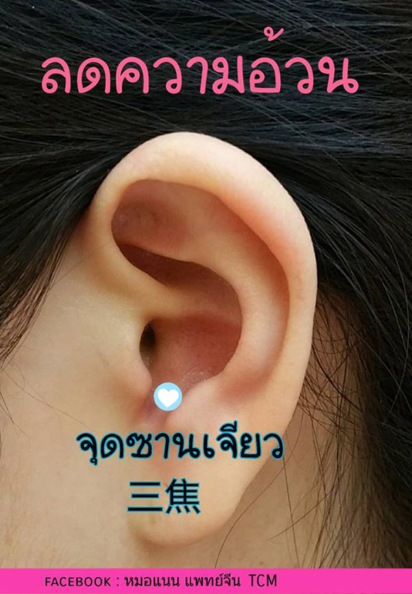 เมล็ดผักกาดแปะหู เมล็ดผักกาดแปะหู