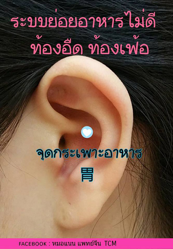 เมล็ดผักกาดแปะหู เมล็ดผักกาดแปะหู