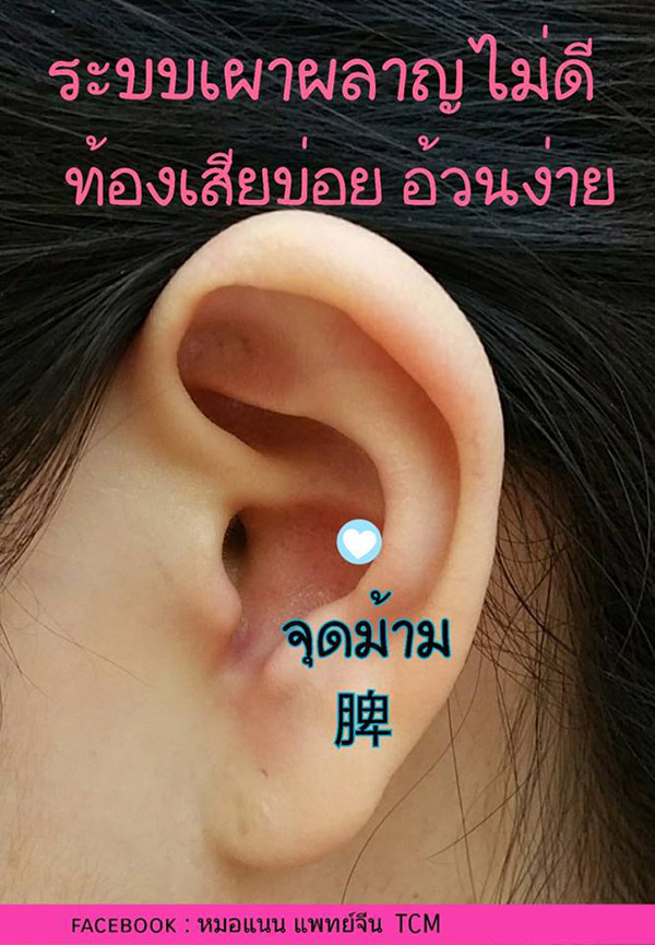 เมล็ดผักกาดแปะหู เมล็ดผักกาดแปะหู