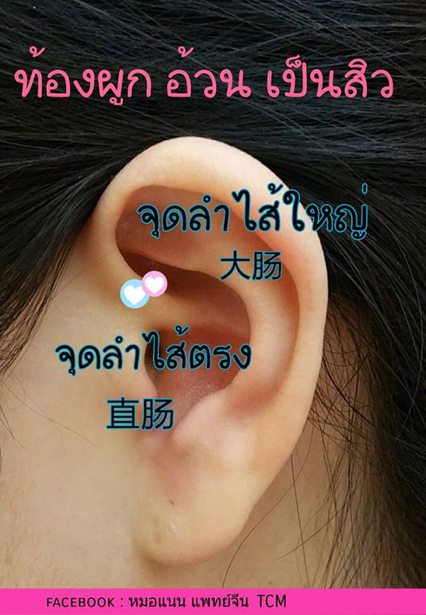 เมล็ดผักกาดแปะหู เมล็ดผักกาดแปะหู