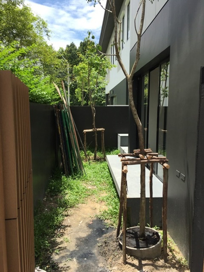 จัดสวนญี่ปุ่นข้างบ้าน จัดสวนญี่ปุ่นข้างบ้าน