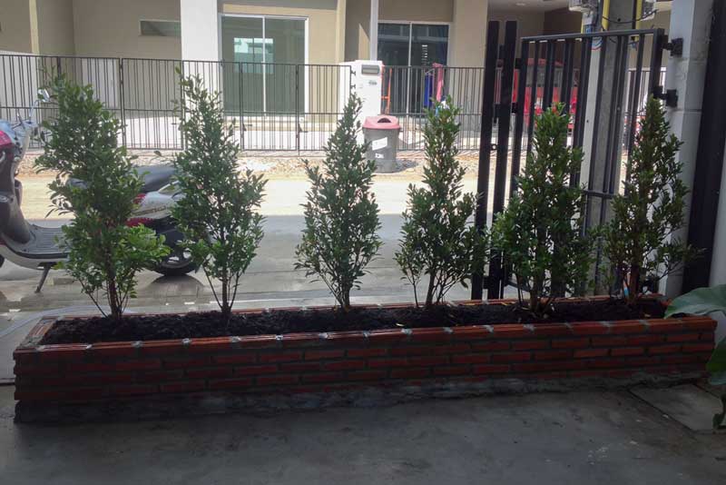 จัดสวนหน้าบ้านทาวน์โฮม จัดสวนหน้าบ้านทาวน์โฮม