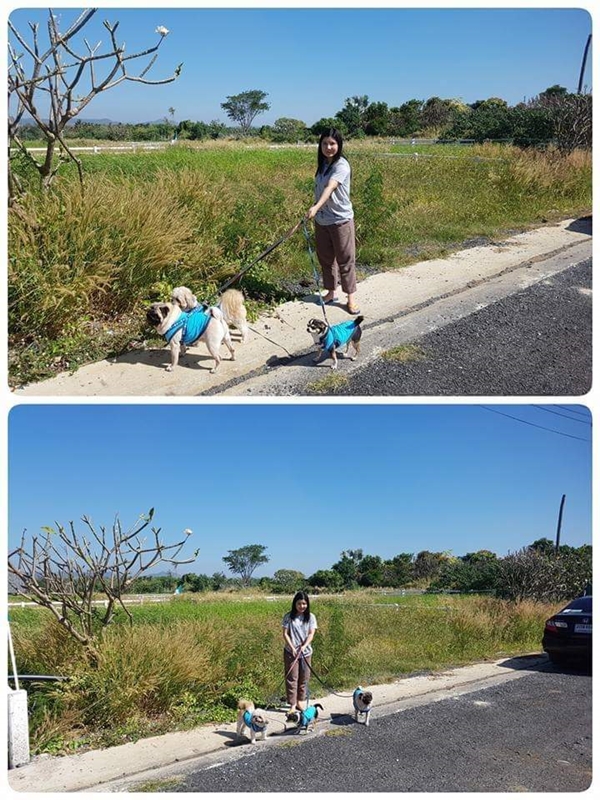 บ้านโครงสร้างเหล็ก บ้านโครงสร้างเหล็ก
