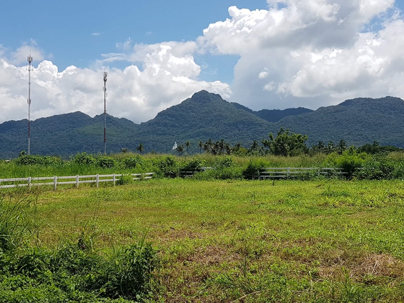 บ้านโครงสร้างเหล็ก บ้านโครงสร้างเหล็ก