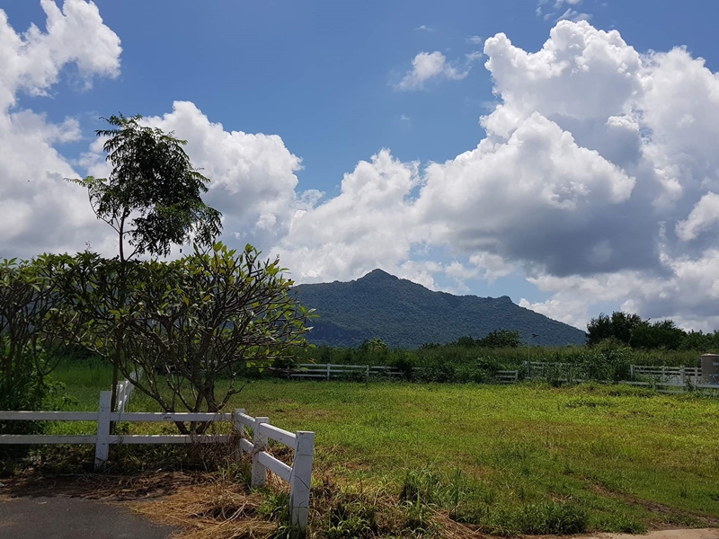 บ้านโครงสร้างเหล็ก บ้านโครงสร้างเหล็ก