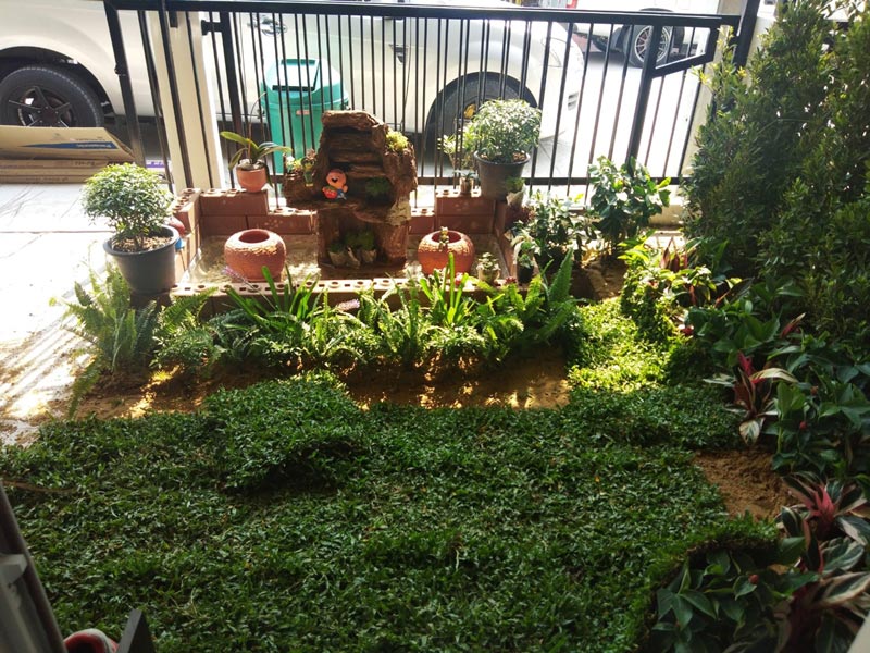 จัดสวนหน้าบ้านทาวน์เฮ้าส์ จัดสวนหน้าบ้านทาวน์เฮ้าส์