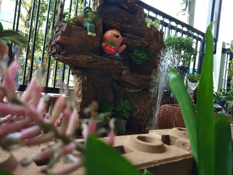 จัดสวนหน้าบ้านทาวน์เฮ้าส์ จัดสวนหน้าบ้านทาวน์เฮ้าส์