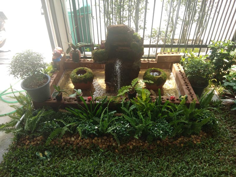 จัดสวนหน้าบ้านทาวน์เฮ้าส์ จัดสวนหน้าบ้านทาวน์เฮ้าส์