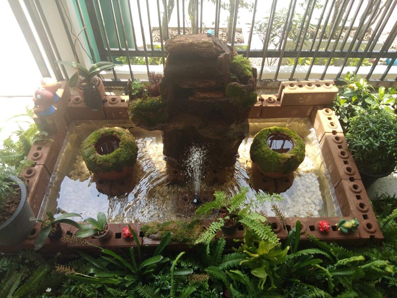จัดสวนหน้าบ้านทาวน์เฮ้าส์ จัดสวนหน้าบ้านทาวน์เฮ้าส์