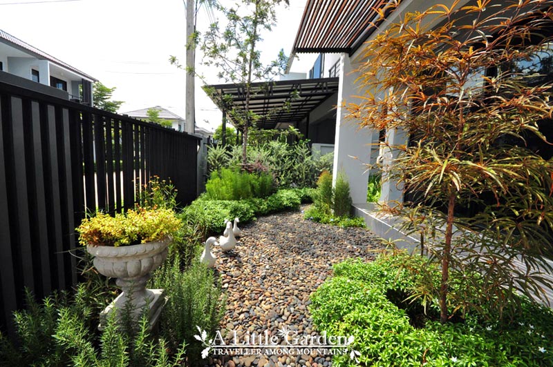 ทางเดินในสวน ทางเดินในสวน