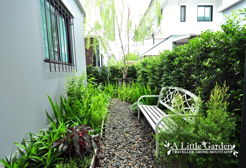 ทางเดินในสวน ทางเดินในสวน