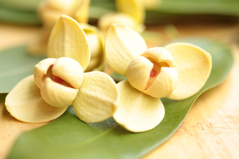 ลำดวน ลำดวน