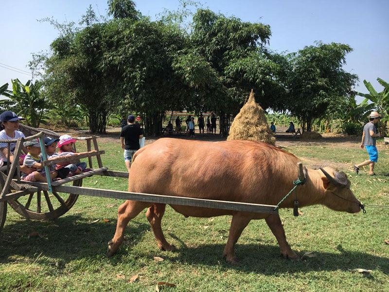 ที่เที่ยวปทุมธานี ที่เที่ยวปทุมธานี