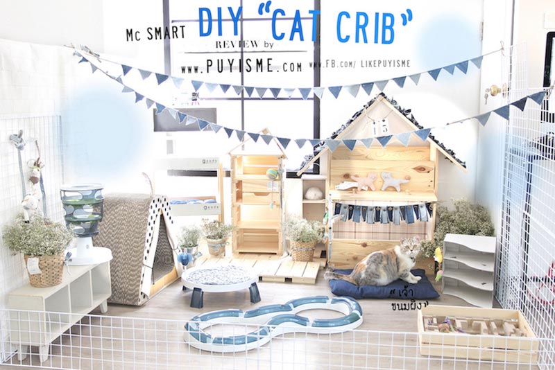 DIY บ้านแมว DIY บ้านแมว