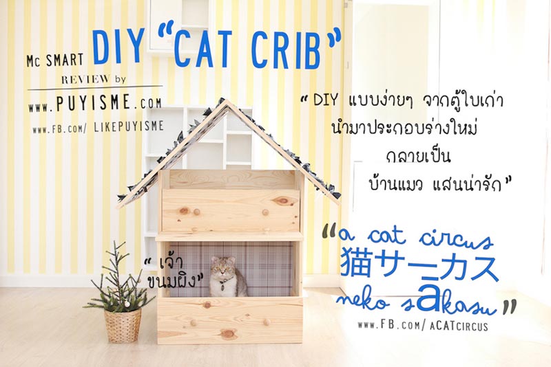 DIY บ้านแมว DIY บ้านแมว