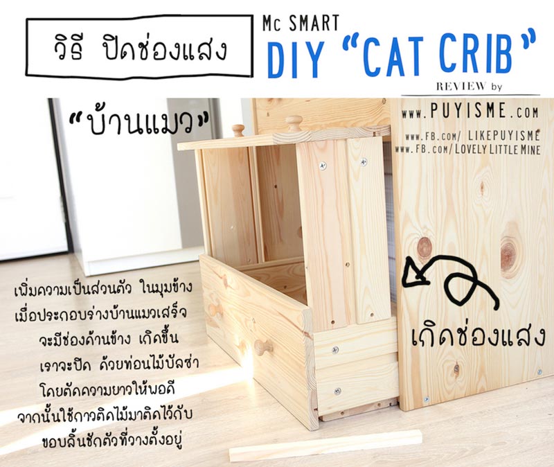 DIY บ้านแมว DIY บ้านแมว
