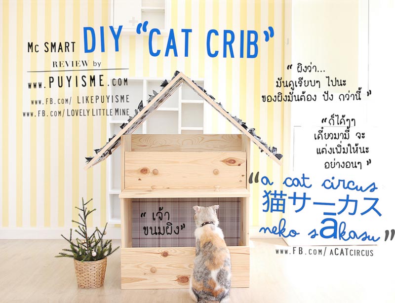 DIY บ้านแมว DIY บ้านแมว