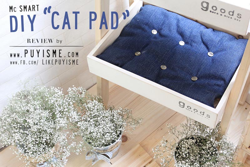 DIY บ้านแมว DIY บ้านแมว