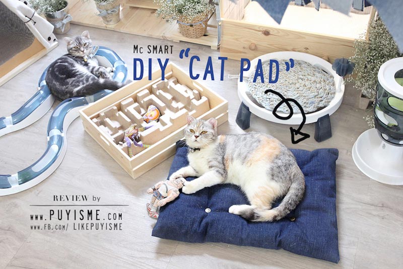 DIY บ้านแมว DIY บ้านแมว