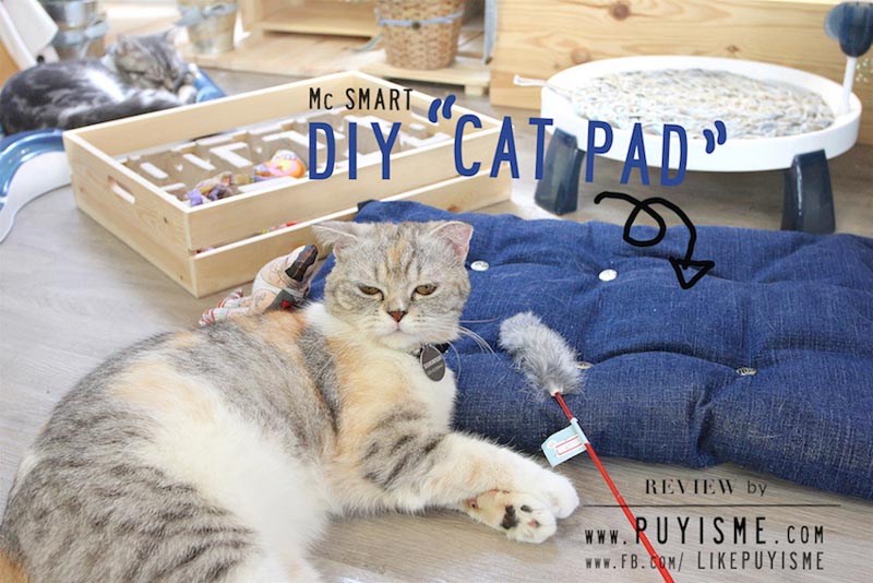 DIY บ้านแมว DIY บ้านแมว