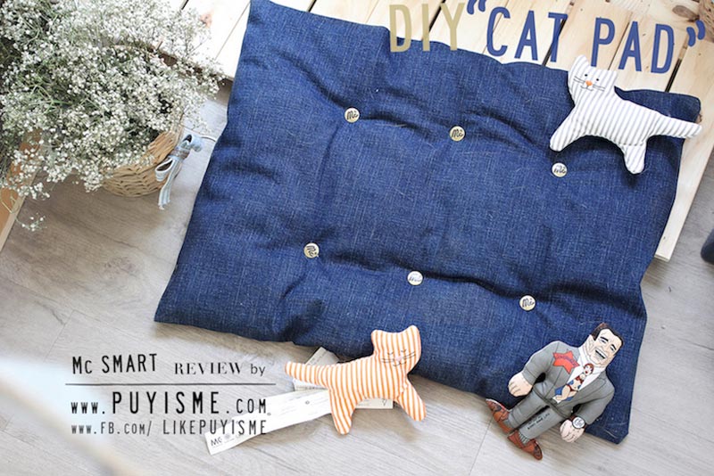 DIY บ้านแมว DIY บ้านแมว