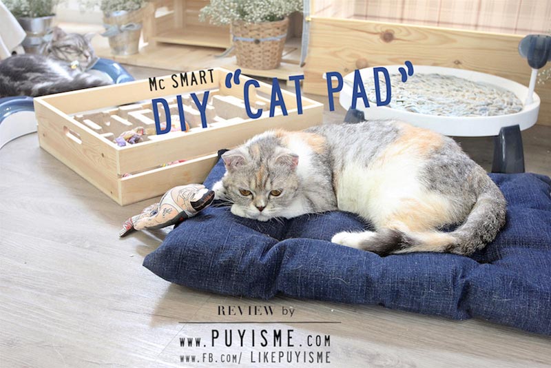 DIY บ้านแมว DIY บ้านแมว