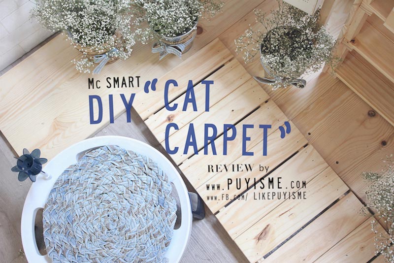 DIY บ้านแมว DIY บ้านแมว