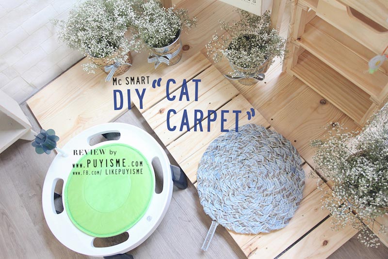 DIY บ้านแมว DIY บ้านแมว