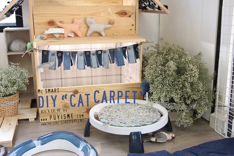 DIY บ้านแมว DIY บ้านแมว