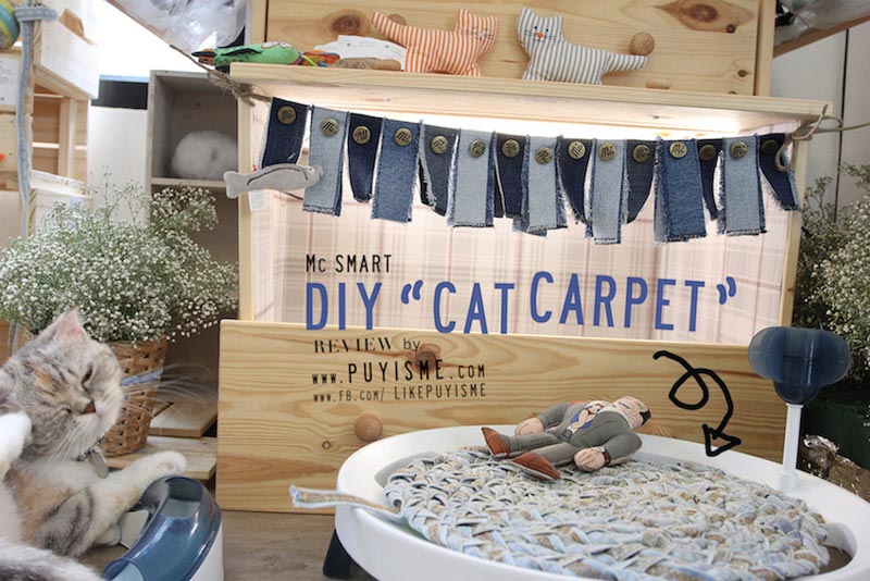 DIY บ้านแมว DIY บ้านแมว