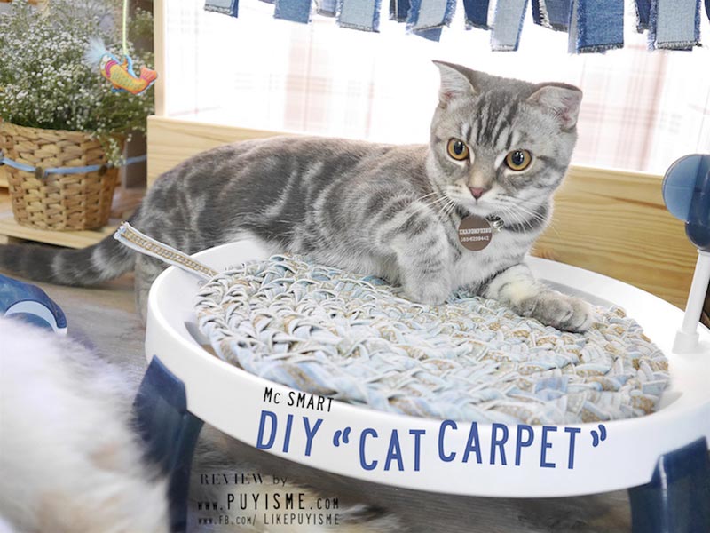 DIY บ้านแมว DIY บ้านแมว