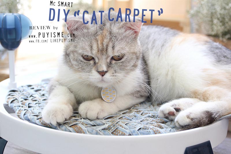 DIY บ้านแมว DIY บ้านแมว