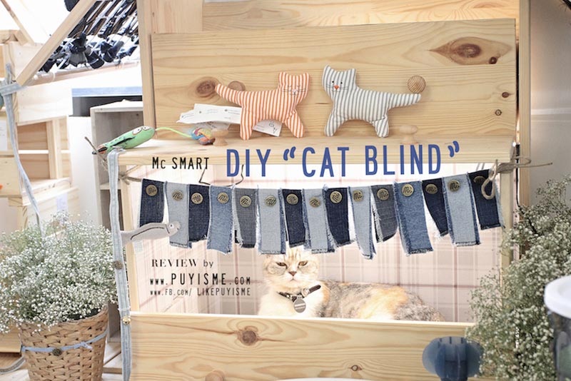 DIY บ้านแมว DIY บ้านแมว
