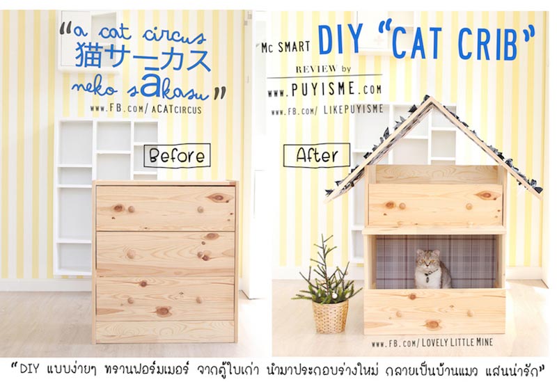DIY บ้านแมว DIY บ้านแมว