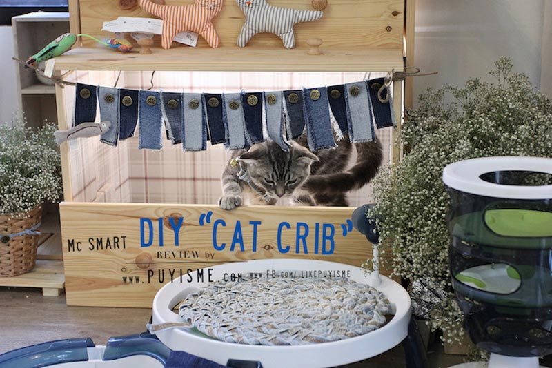 DIY บ้านแมว DIY บ้านแมว