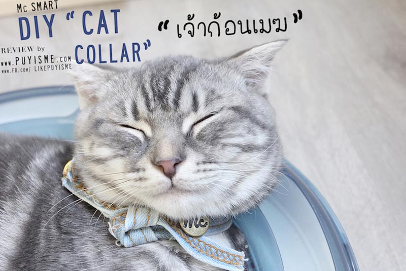 DIY บ้านแมว DIY บ้านแมว