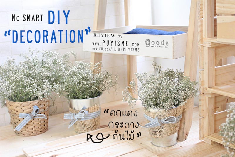 DIY บ้านแมว DIY บ้านแมว