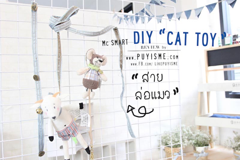 DIY บ้านแมว DIY บ้านแมว