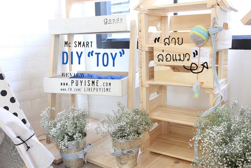 DIY บ้านแมว DIY บ้านแมว