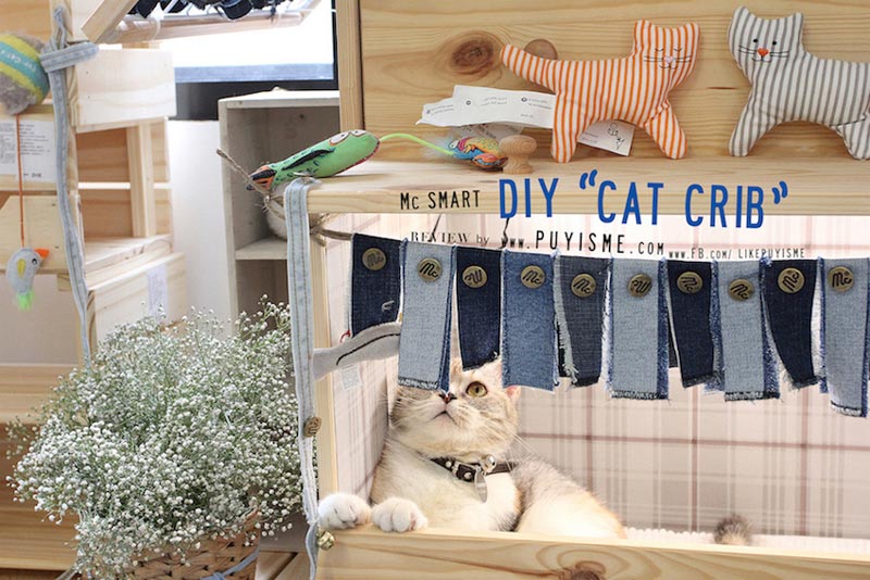 DIY บ้านแมว DIY บ้านแมว