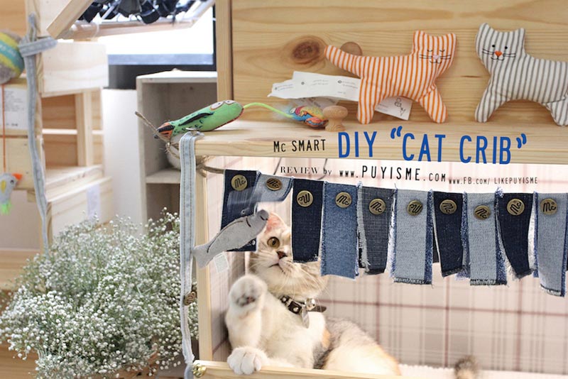 DIY บ้านแมว DIY บ้านแมว