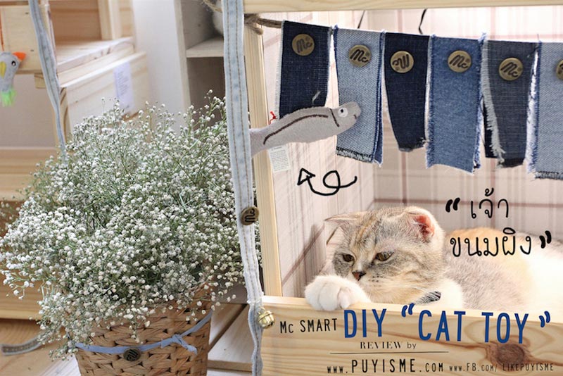 DIY บ้านแมว DIY บ้านแมว