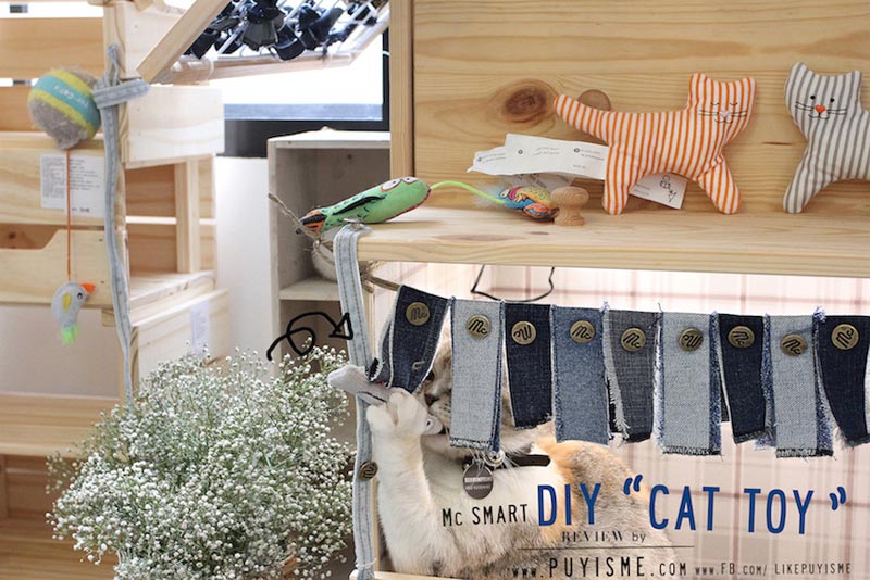 DIY บ้านแมว DIY บ้านแมว
