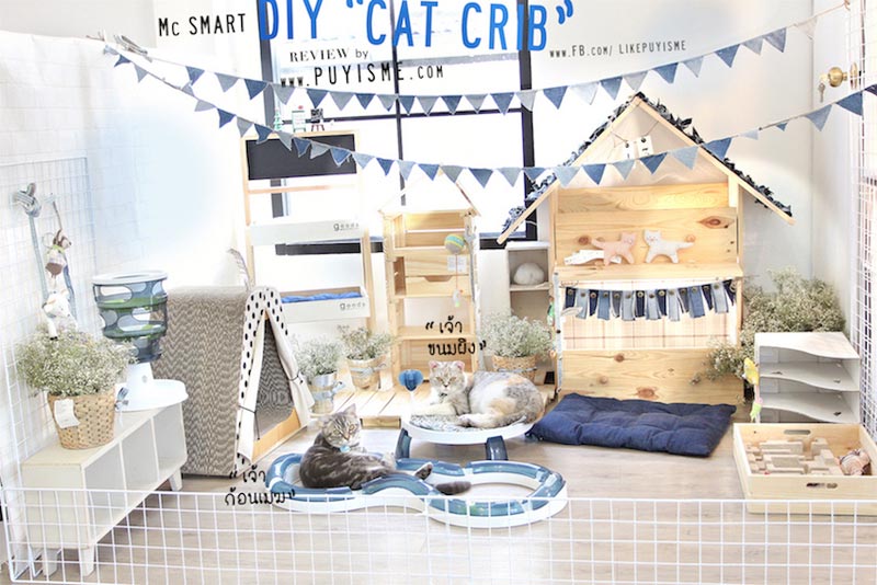 DIY บ้านแมว DIY บ้านแมว